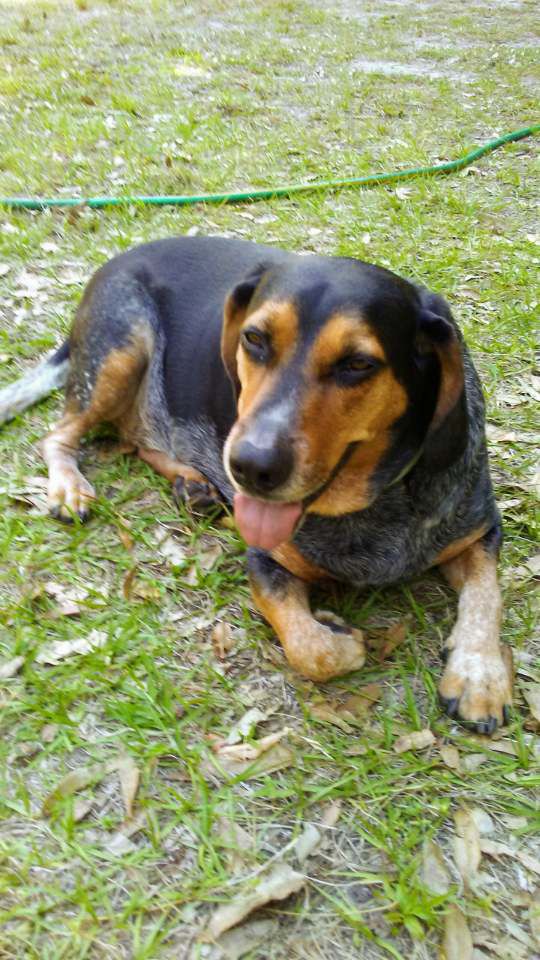Readers pet photos